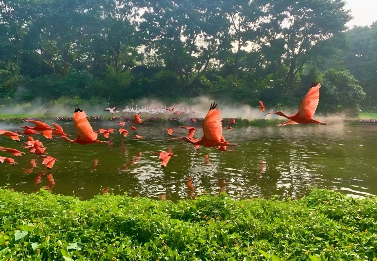 Chimelong Tourist Resort Guangzhou