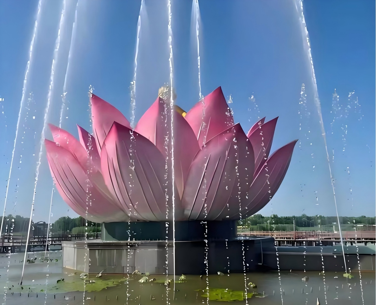 Jardín con gran vista del loto