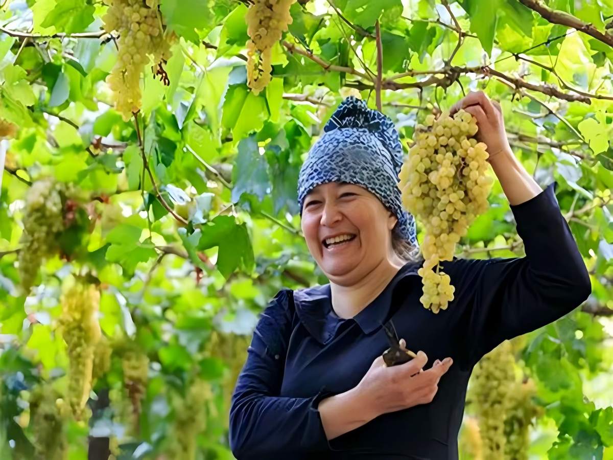 xinjiang tour package