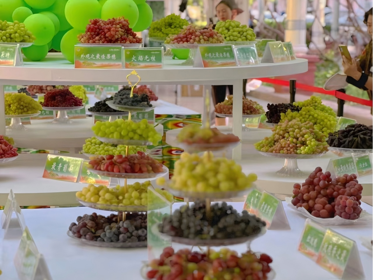 xinjiang tour package