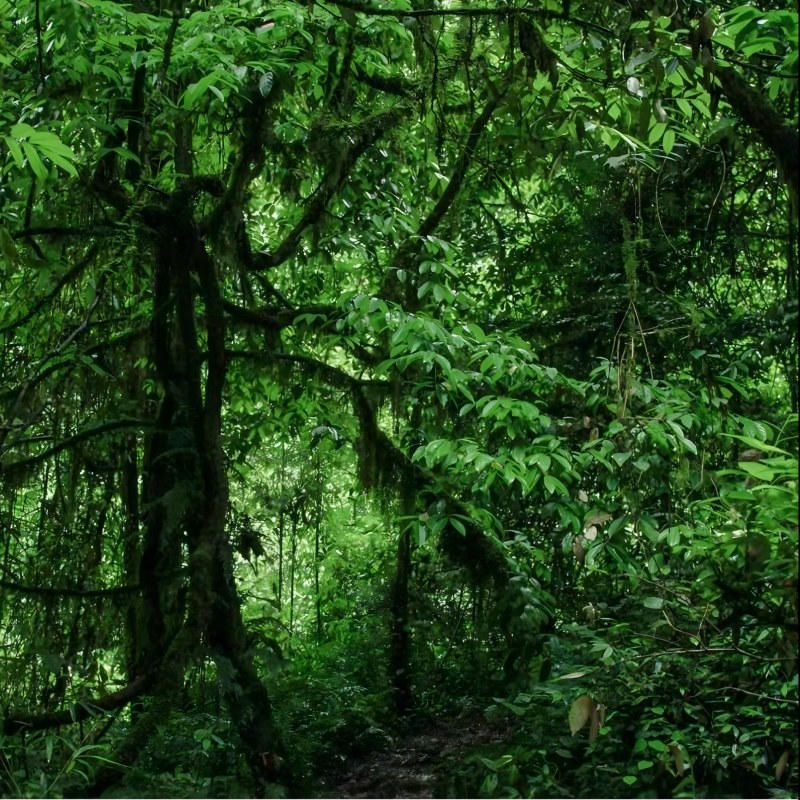 Viaje a Libo Zhangjiang