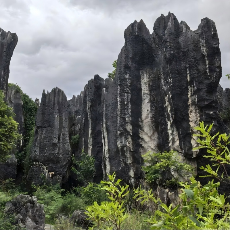 Stone Forest in Yunnan