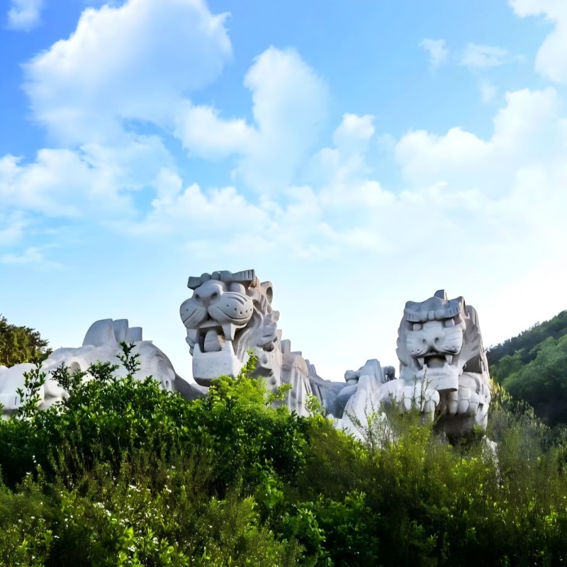 Tiger Beach Ocean Park