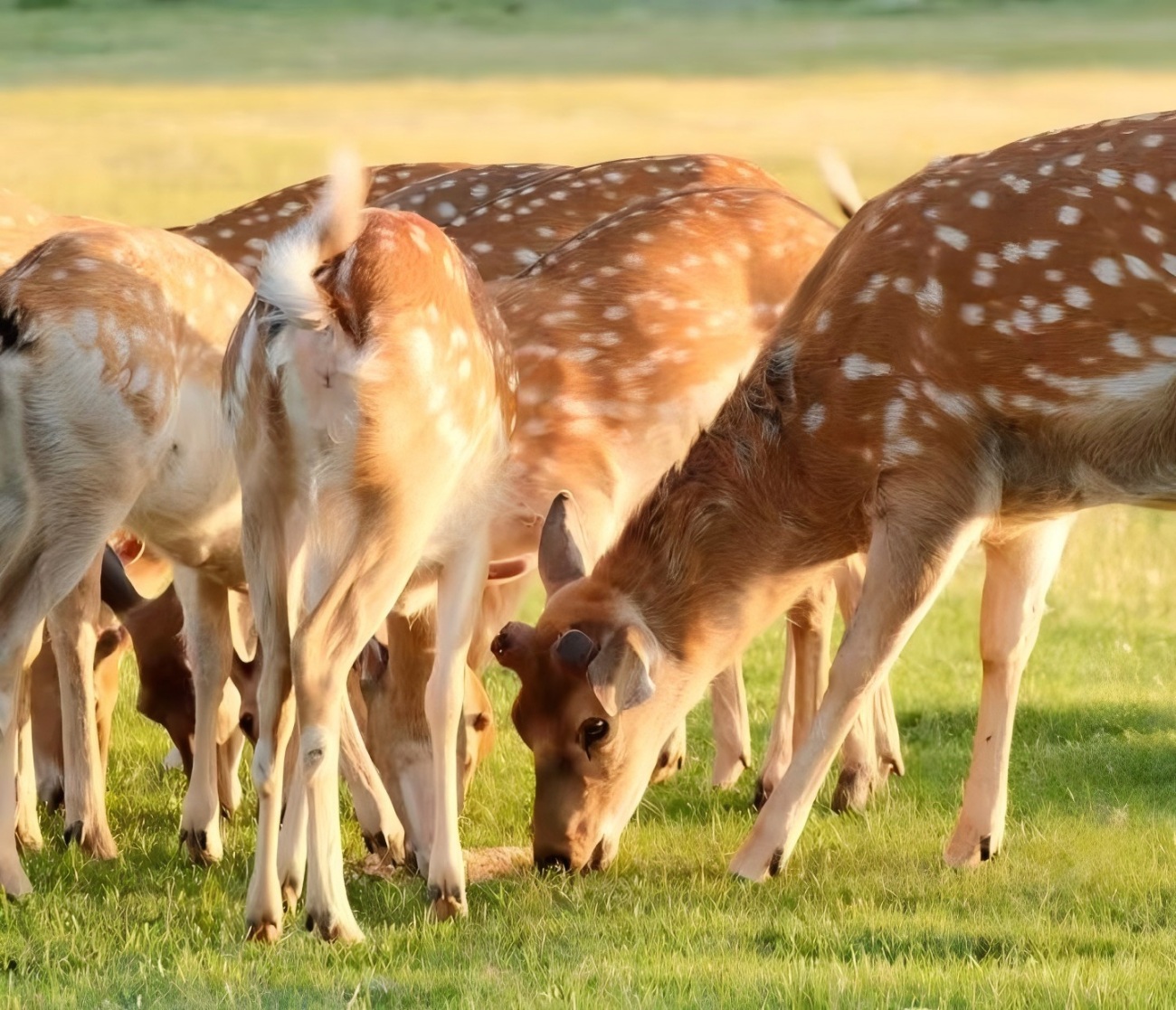 Wohu Mountain  in China