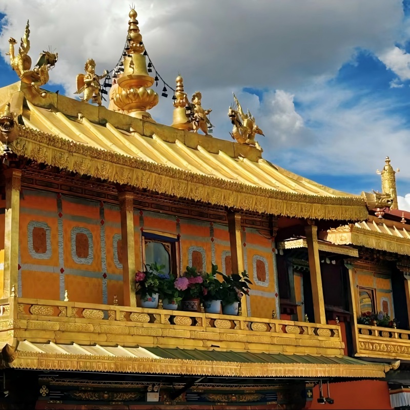 جولة جوخانغ التقنية