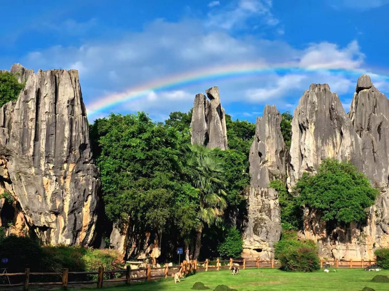 Stone Forest in Yunnan