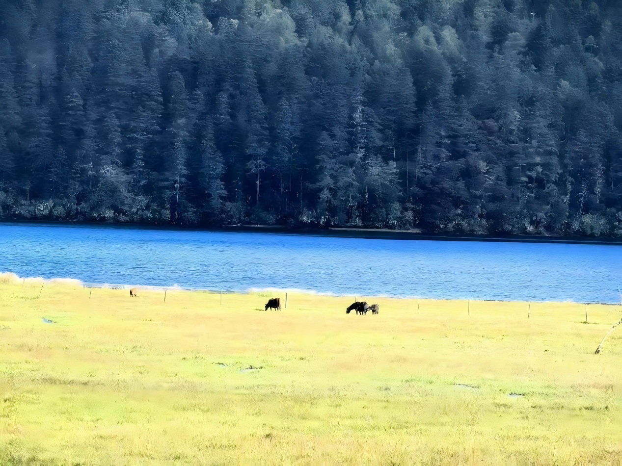 Parque Nacional Pudacuo en Shangri-La Yunnan