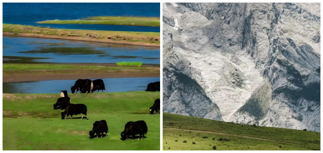 Yak Meadow (Maoniu Ping) 
