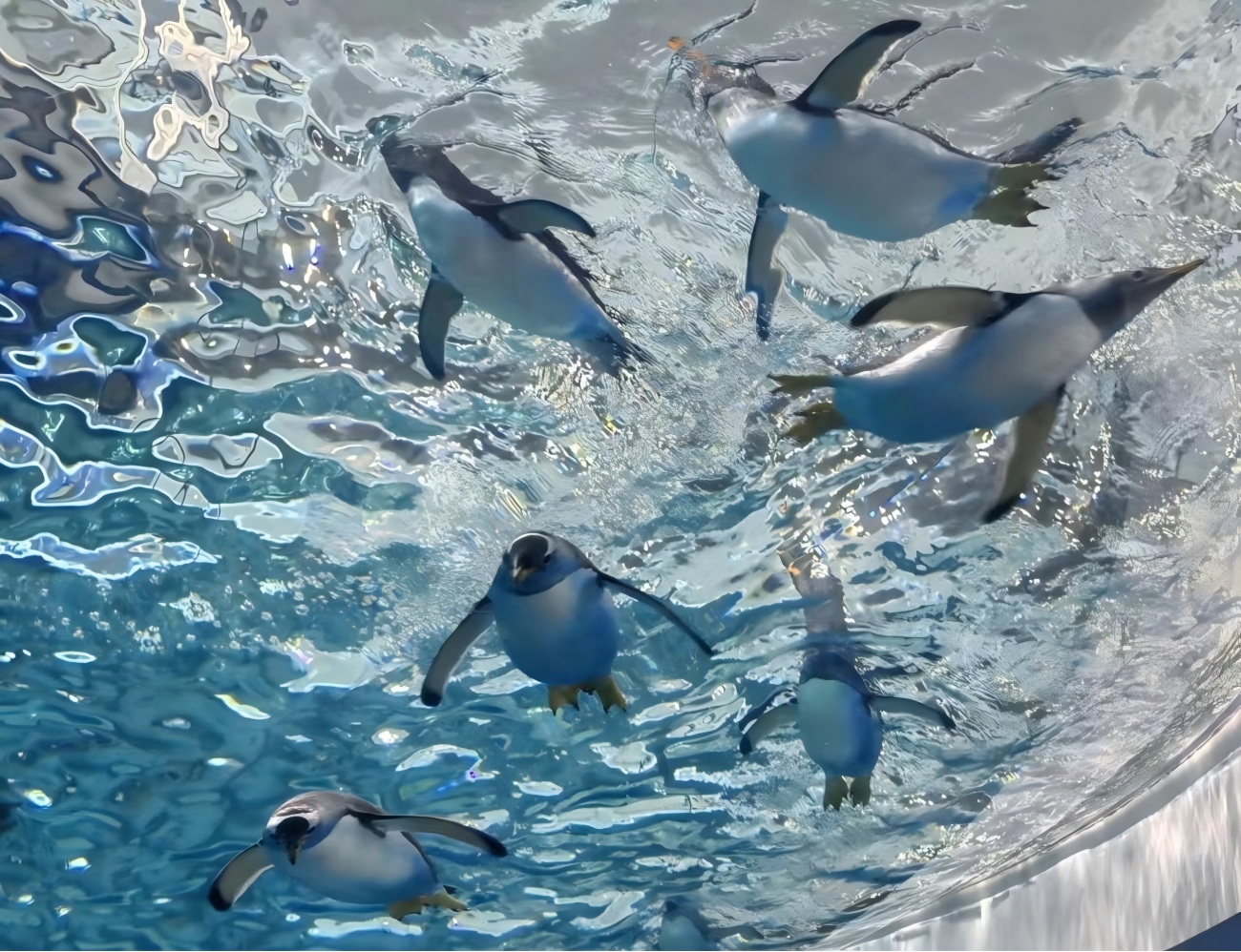 Harbin Polarland in China