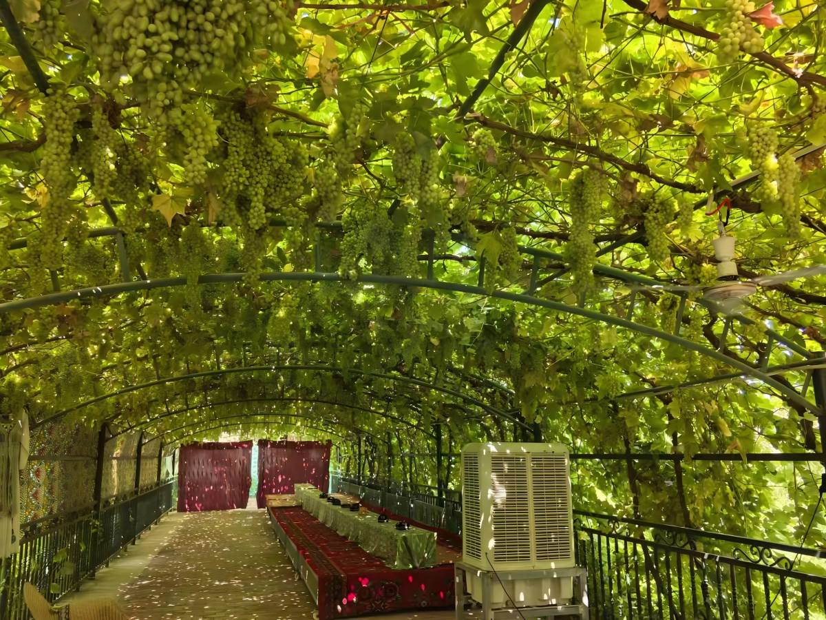 xinjiang tour package