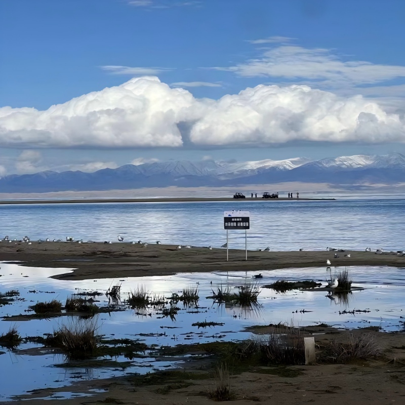 Qinghai Lake