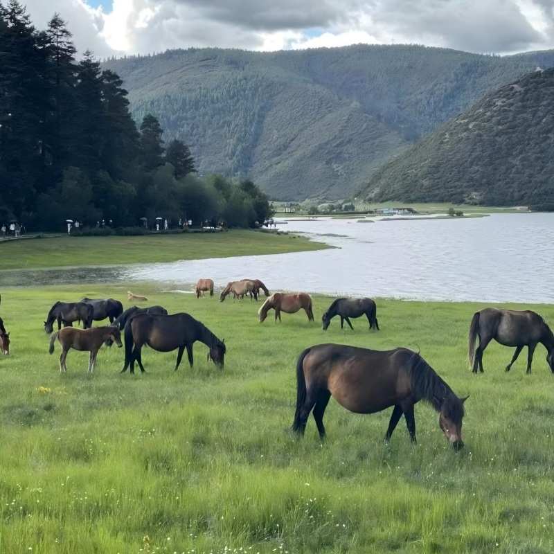 Parque Nacional Pudacuo
