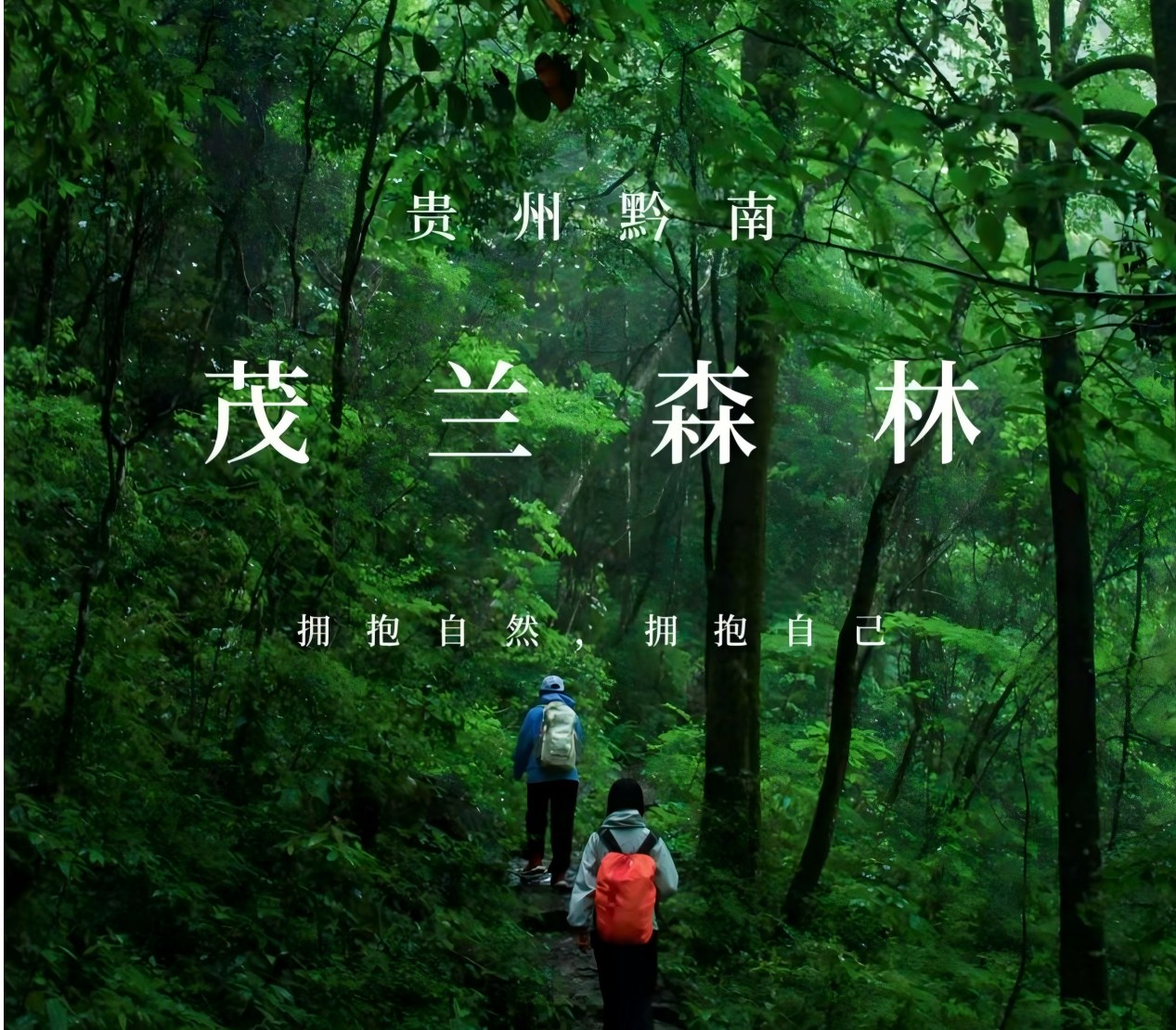 Bosque kárstico de Maolan