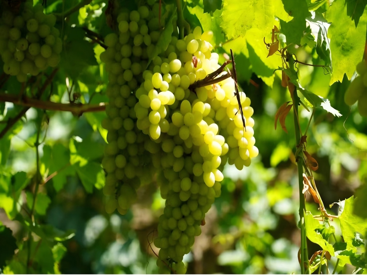 xinjiang tour package