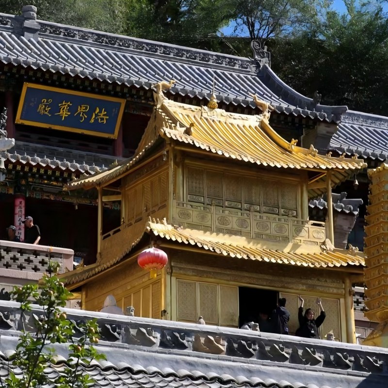 w U también montaña