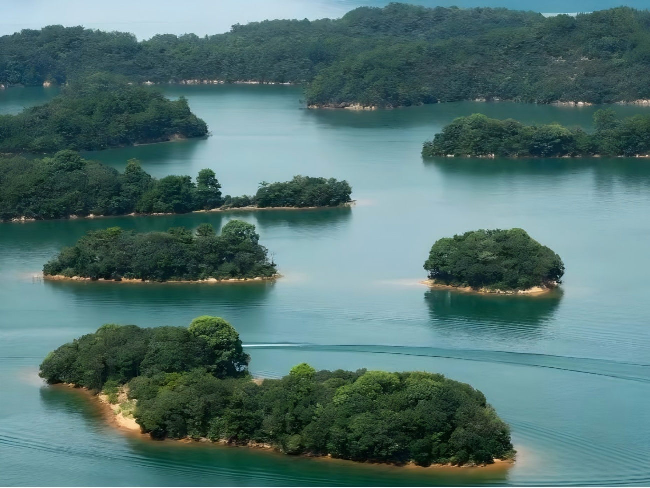 Área escénica de la costa oeste