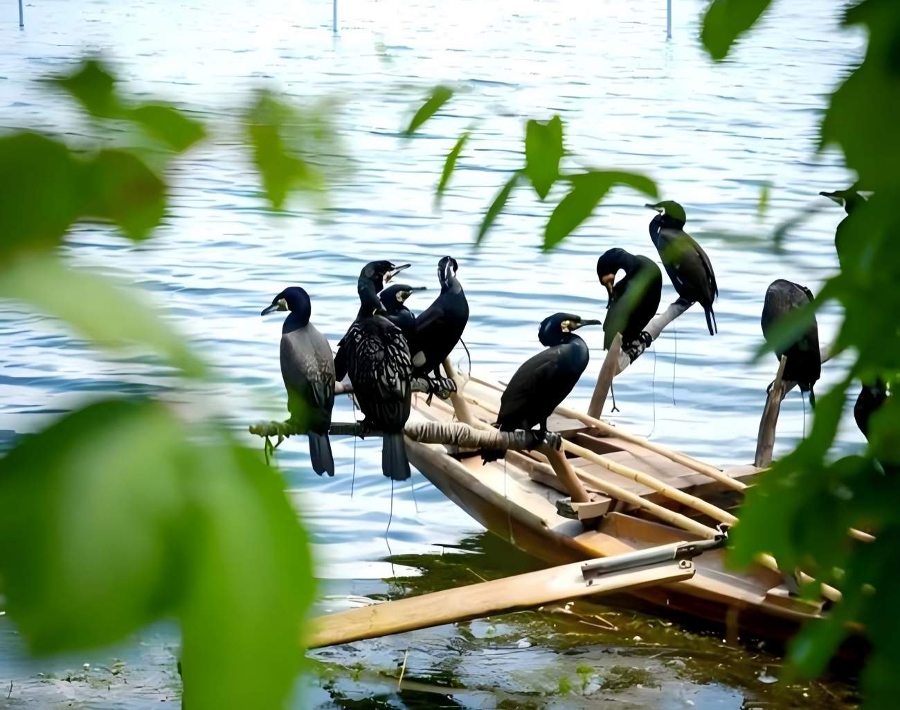 Baiyangdian en China