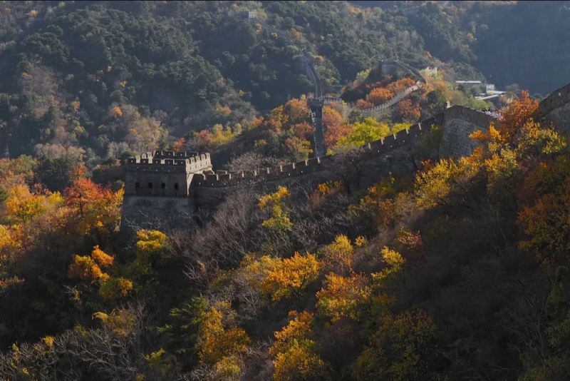 Mutianyu Great Wall Tour