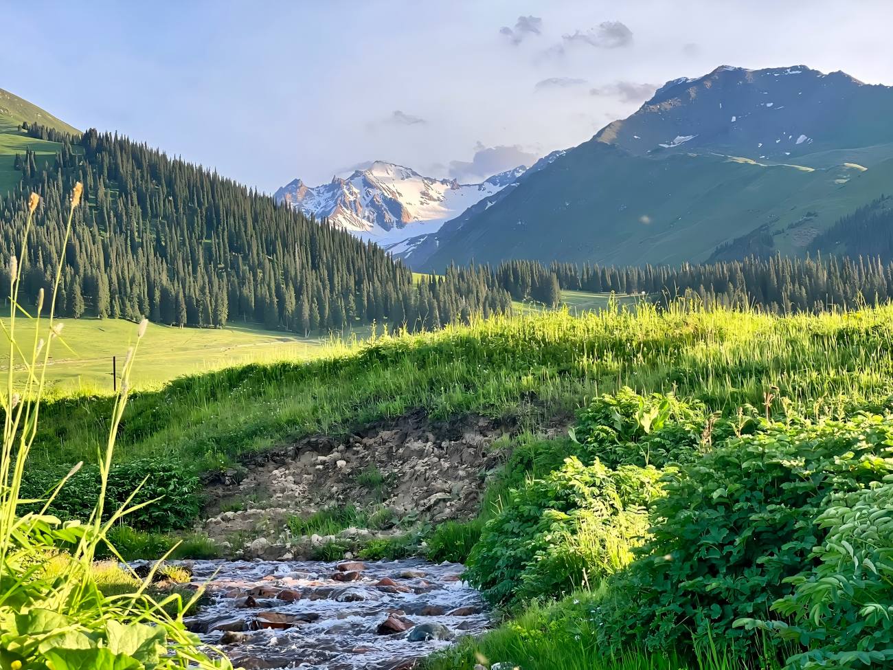 Xinjiang Duku Highway