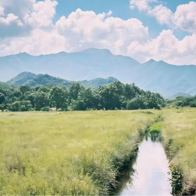 Área turística de Hubei Shennongjia