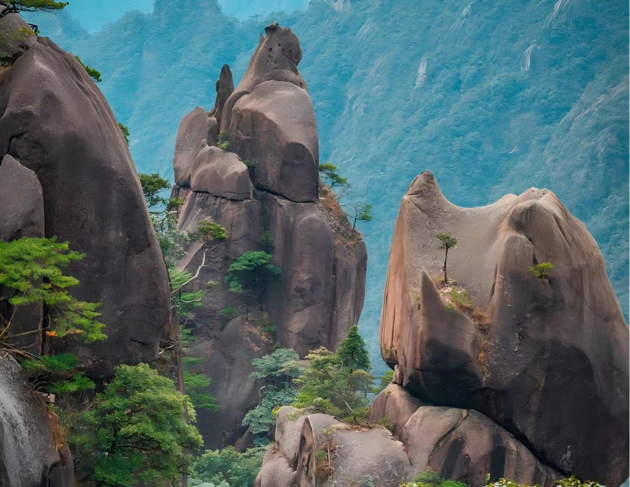 Área escénica del jardín de la longevidad