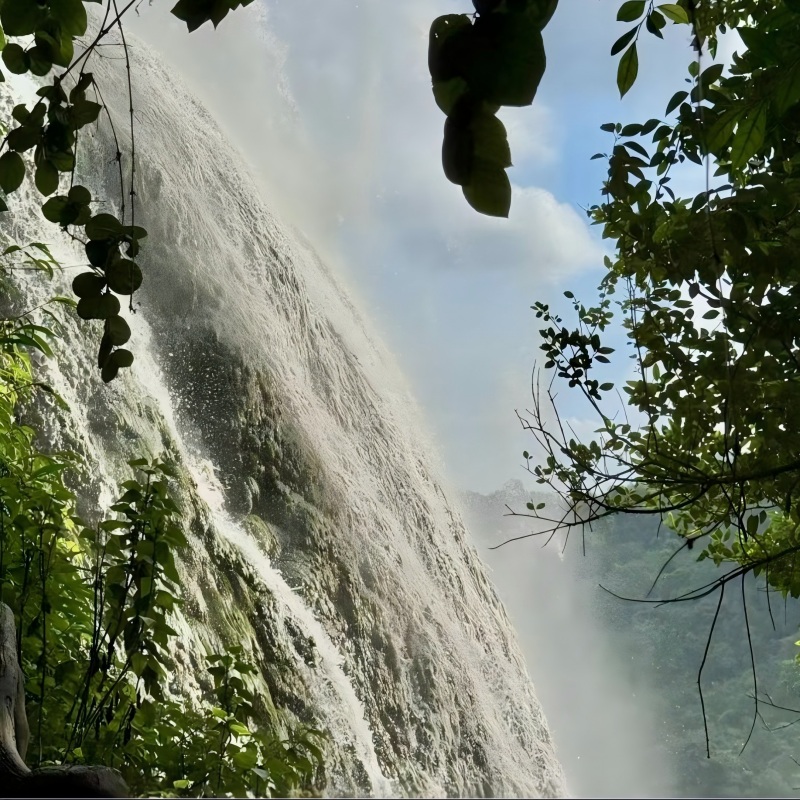 Semana de la GUI de la Cascada de Frutas y Verduras de Huang