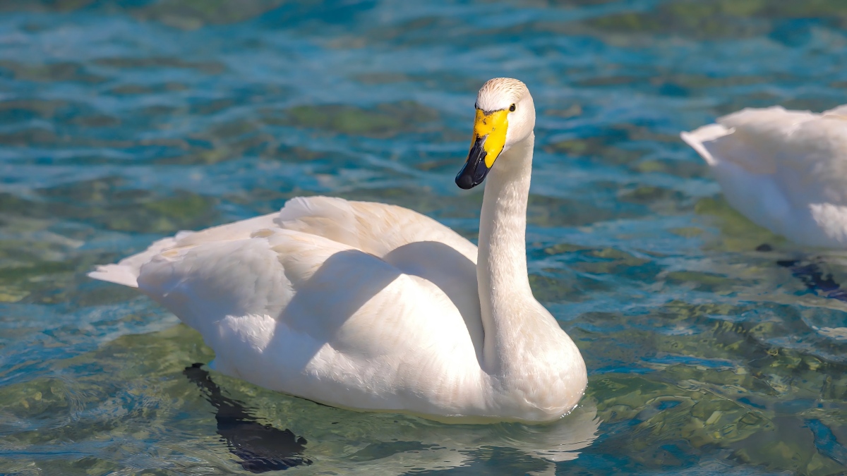 Lago Sayram de Xinjiang