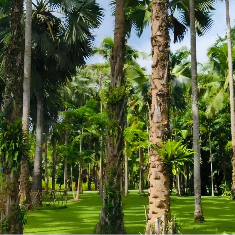 Xishuangbanna Tropical Botanical Garden