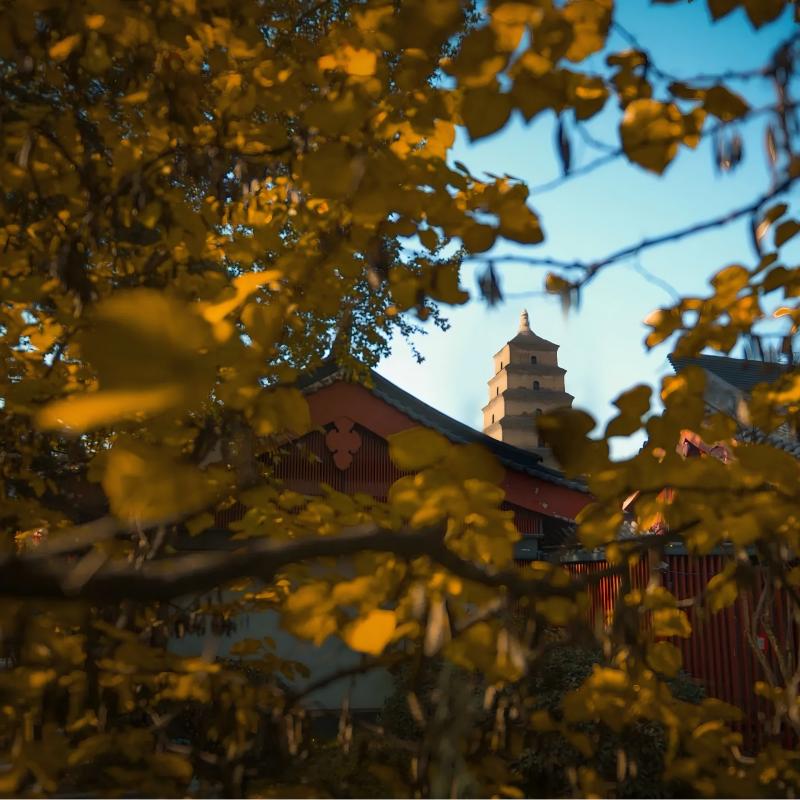 Pagoda gigante del ganso salvaje