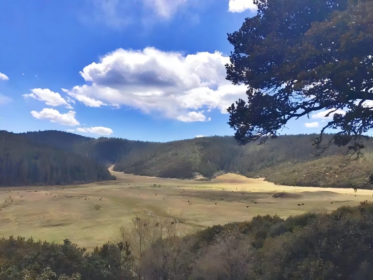 Parque Nacional Pudacuo