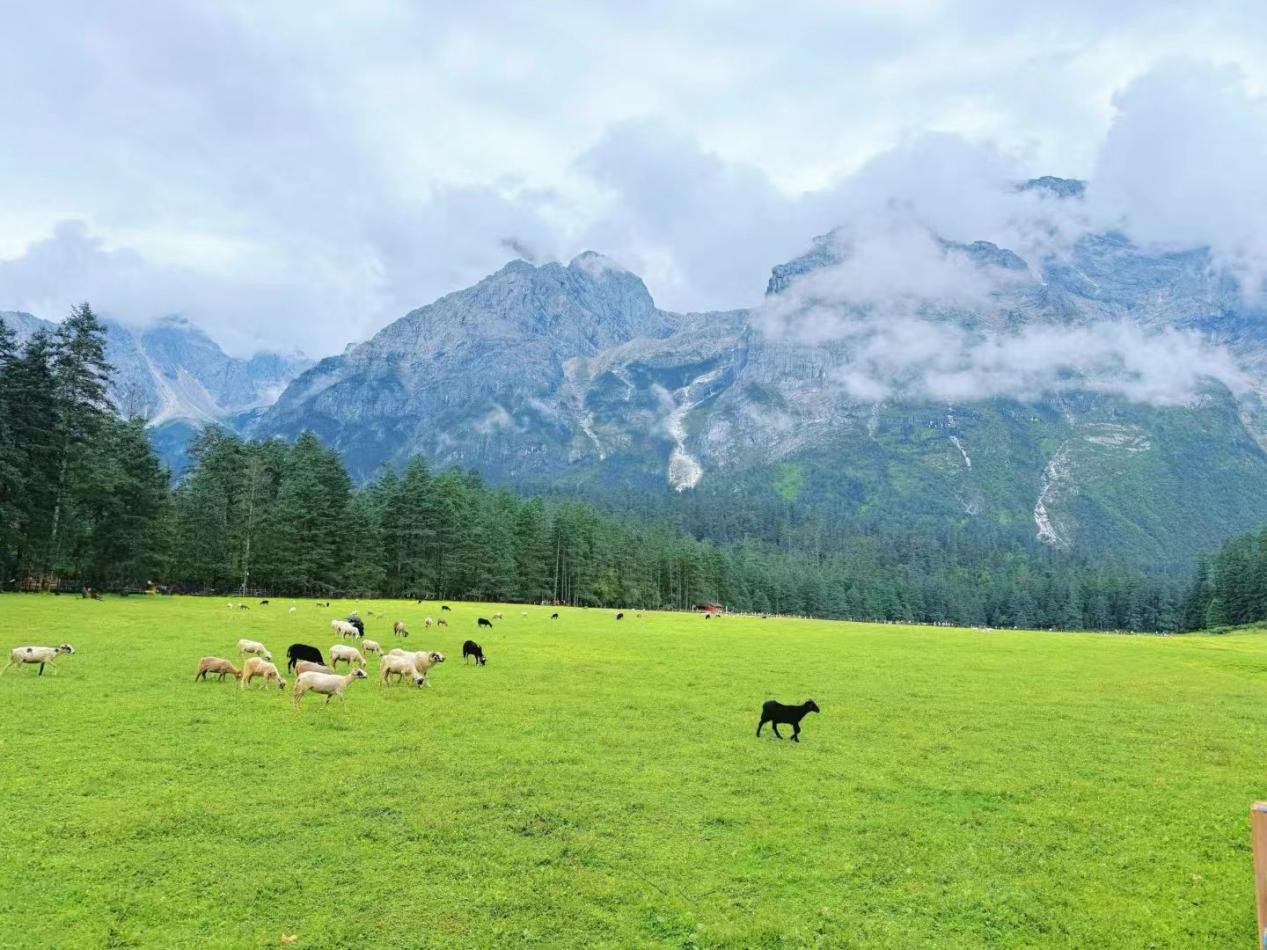 Yak Meadow (Maoniu Ping) 