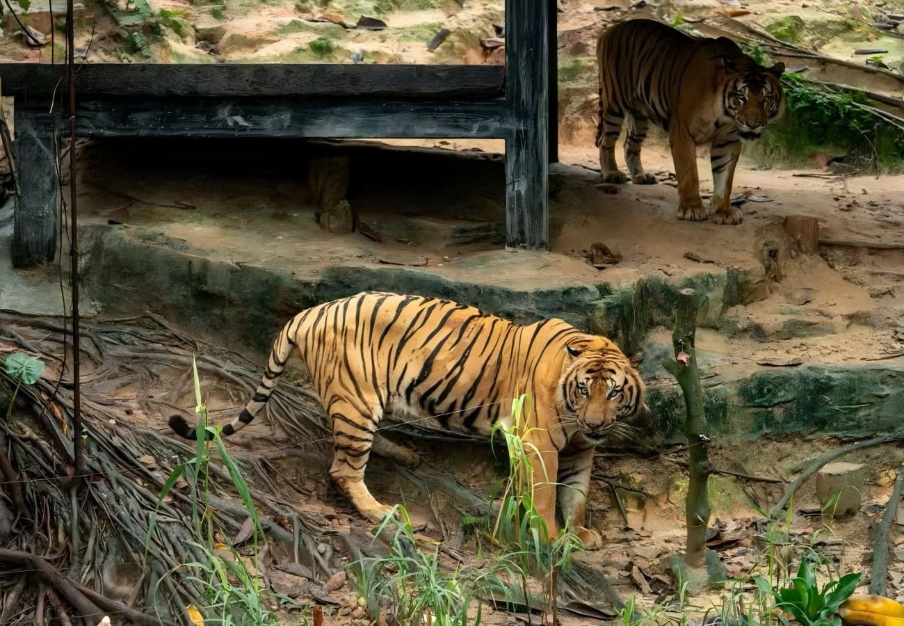 Chimelong Tourist Resort Guangzhou