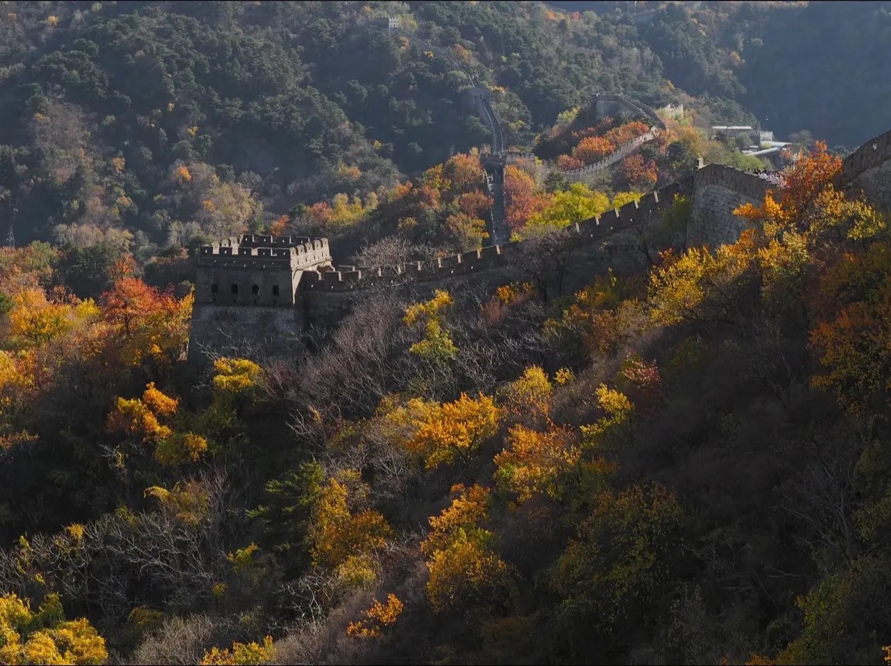Mutianyu Great Wall Tour