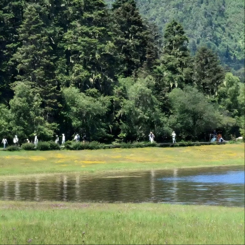Parque Nacional Pudacuo