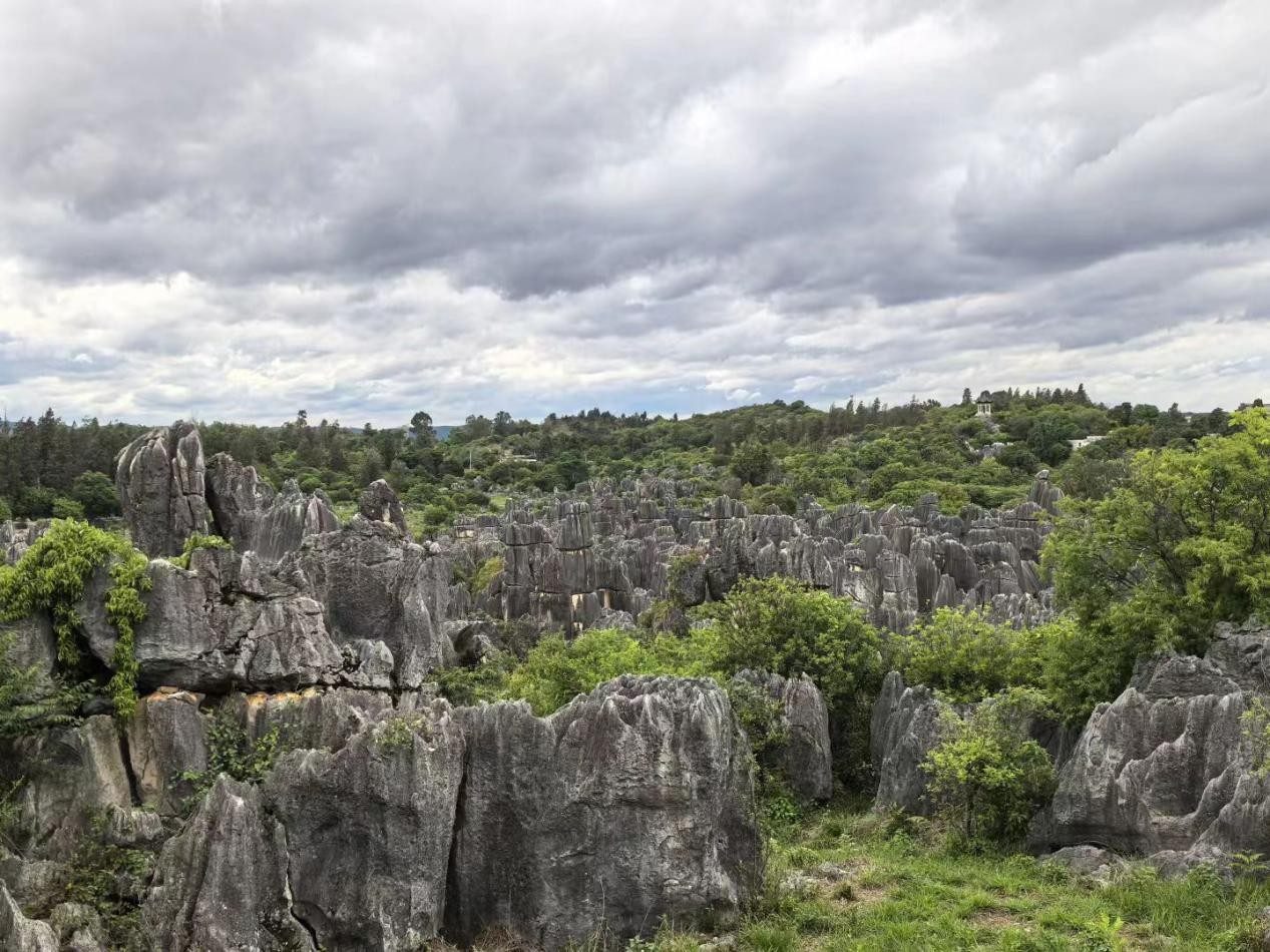 Stone Forest in Yunnan
