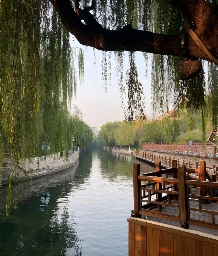 Shandong Tourism 