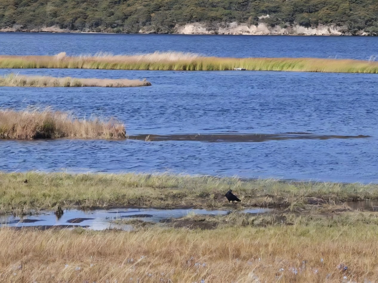 Lago de curva en S en Shangri, DI Qing