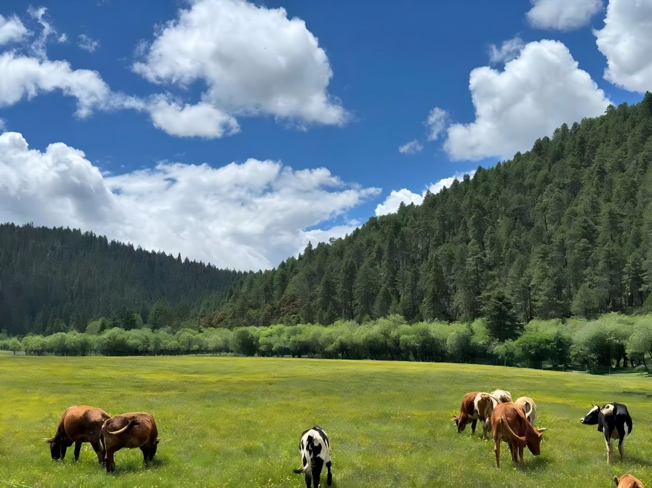 Parque Nacional Pudacuo