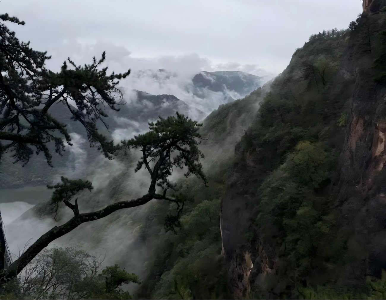 Plataforma intermedia en China