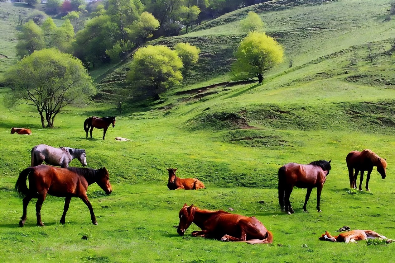 Parque Nacional Pudacuo