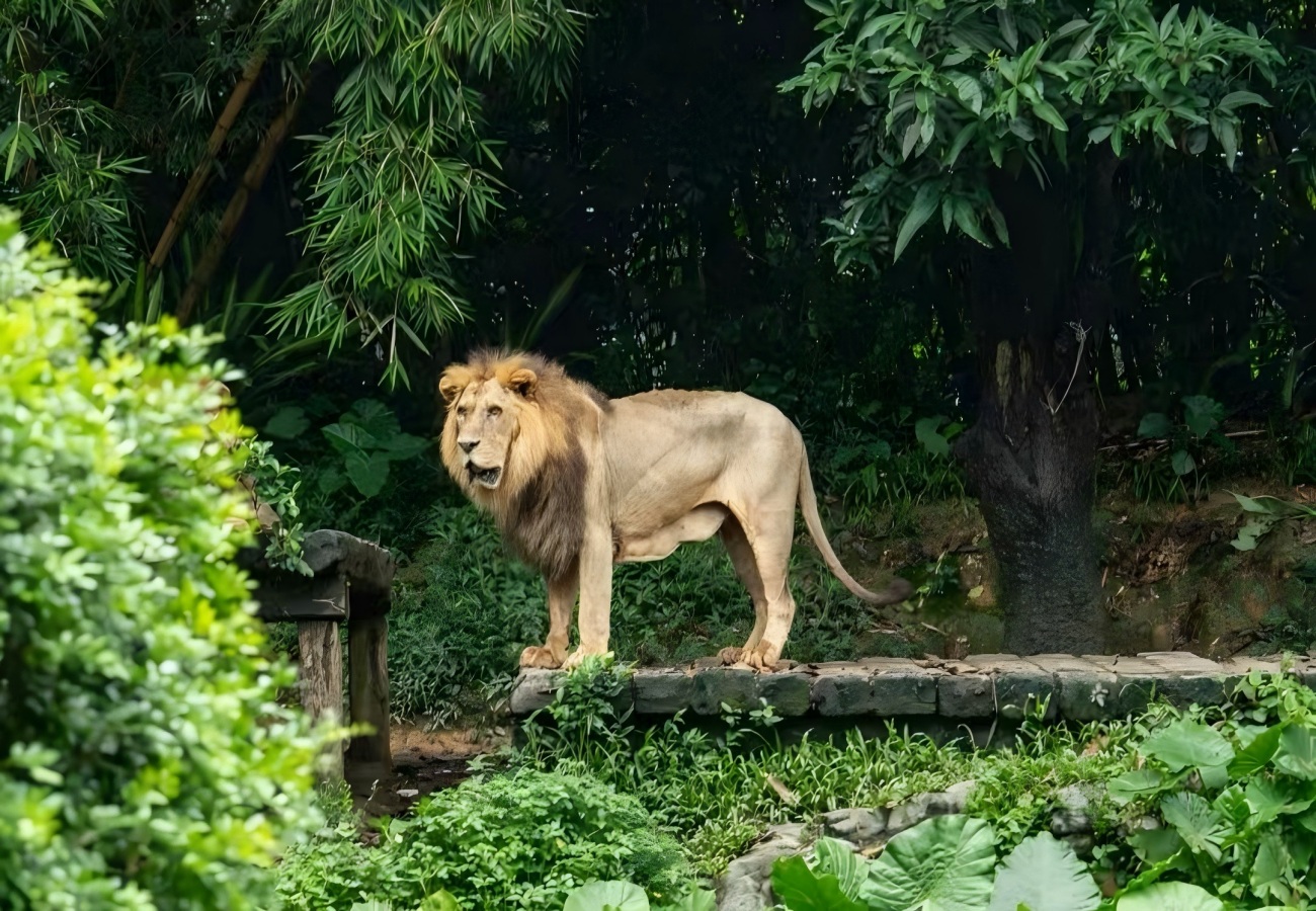 Chimelong Tourist Resort Guangzhou