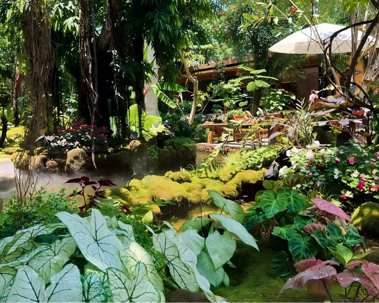 Xishuangbanna Tropical Botanical Garden